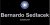 Bernardo Sedlacek - The Magic Circle Lecture